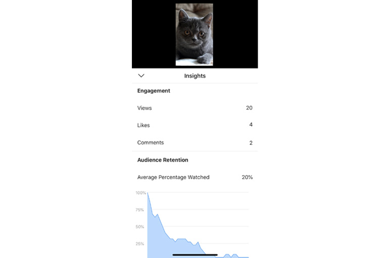 Instagram TV – Audience Insights on IGTV